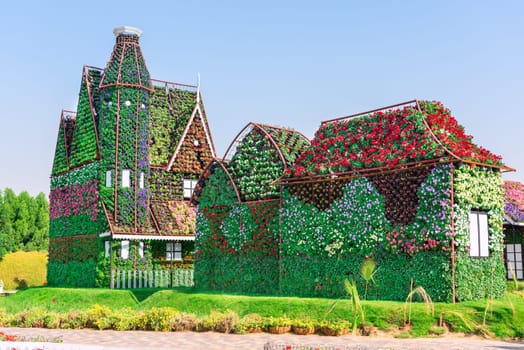 UAE, DUBAI - DECEMBER 30: dubai miracle garden with over million flowers on a sunny day December 30, 2014