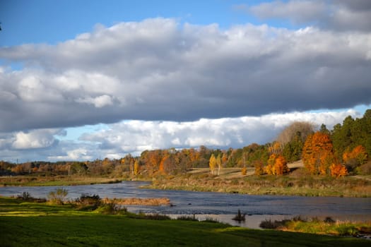 Autumn October landscape with yellowed foliage. Sunlit forest on the river bank with heavy clouds in the blue sky