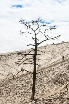 FRANCE, LA TESTE-DE-BUCH - SEPTEMBER 19: people visiting the famous highest sand dune in Europe Dune of Pyla on September 19, 2015