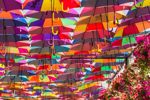 UAE, DUBAI - DECEMBER 30: multicolor umbrellas roof in Dubai miracle garden on December 30, 2014