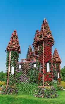 UAE, DUBAI - DECEMBER 30: dubai miracle garden with over million flowers on a sunny day December 30, 2014