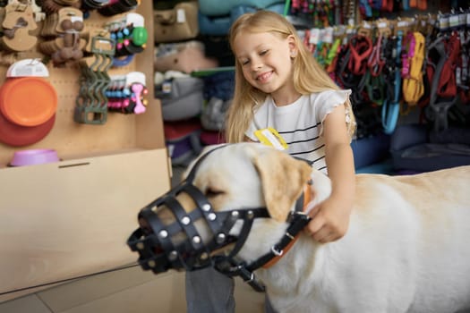 Little smiling girl putting on muzzle for Labrador dog face at pet shop. Buying new waking accessories for domestic animal in supermarket