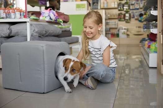 Cute little girl sitting on floor and dog hiding in new soft comfort house at pet shop. Retail shopping for domestic animal