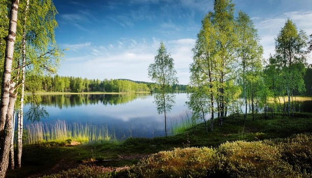 finnish forest natural landscape, AI generated image