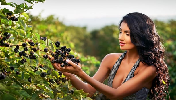 gorgeous young woman picking blackberries, AI generated image