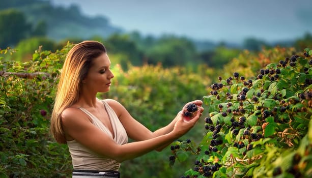 gorgeous young woman picking blackberries, AI generated image