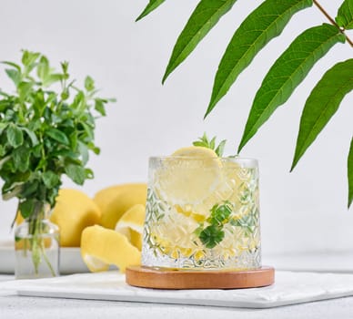 Transparent glass with lemon slices, mint leaves and ice cubes on white table