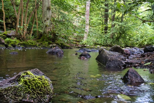A small stream in Sweden. Moss-covered stones. Forest on the riverbank. Scandinavian nature