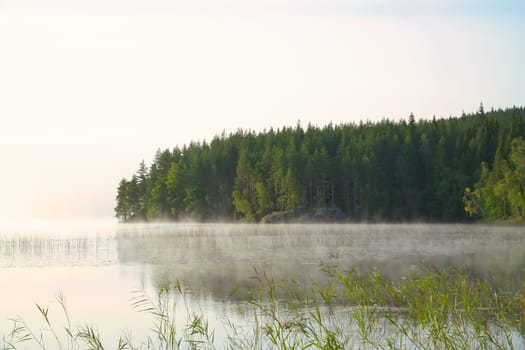 Lake in Sweden at sunrise with romantic light, blue water and trees on the shore. Scandinavian nature in the north