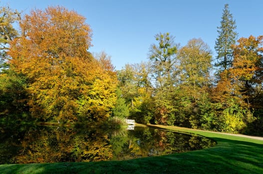 autumn landscape