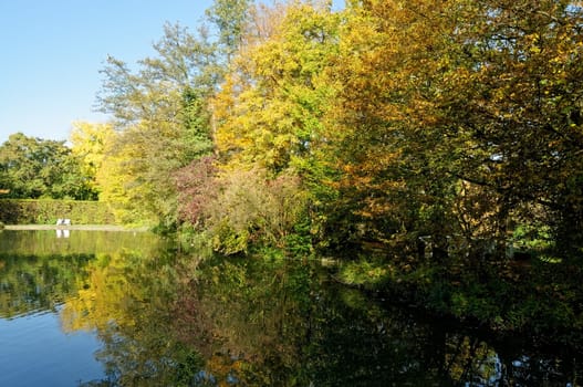 autumn landscape
