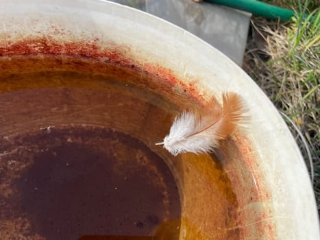 Close-up of yellow-red rust textures on the surface of a metal container. The corroded surface shows a mix of vibrant orange, yellow, and deep red hues, creating an intriguing and rugged industrial aesthetic.