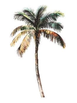 Watercolor Tropic Exotic Palm Tree Nature Beach Plants