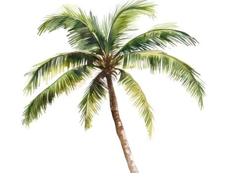 Watercolor Tropic Exotic Palm Tree Nature Beach Plants