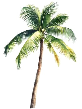 Watercolor Tropic Exotic Palm Tree Nature Beach Plants
