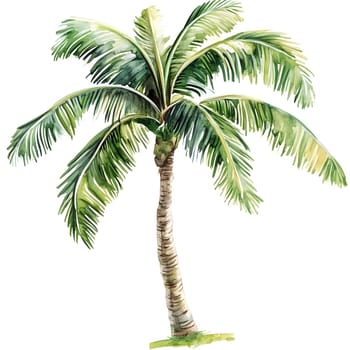 Watercolor Tropic Exotic Palm Tree Nature Beach Plants