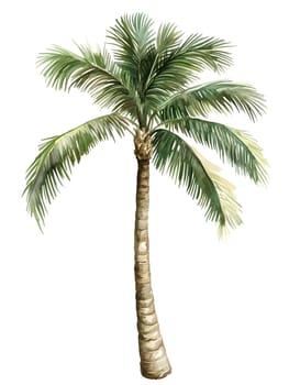 Watercolor Tropic Exotic Palm Tree Nature Beach Plants