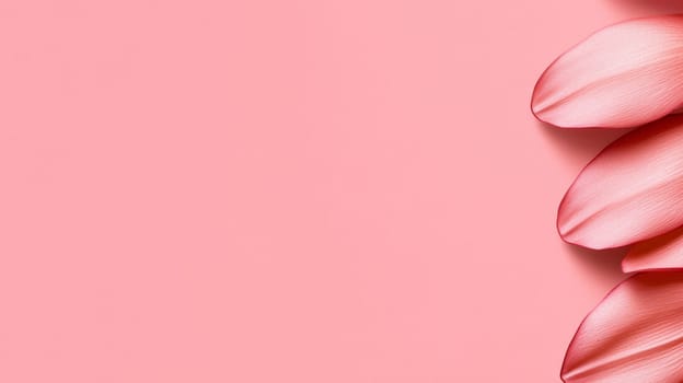 A plain pastel pink background without texture with a flower element. The even color creates a soft, minimalistic look, elegant tone.