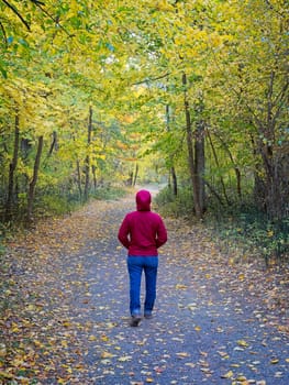 A woman walks along a well maintained hiking path is lined with colorful trees in autumn in the town park of Leavenworth, Washington.