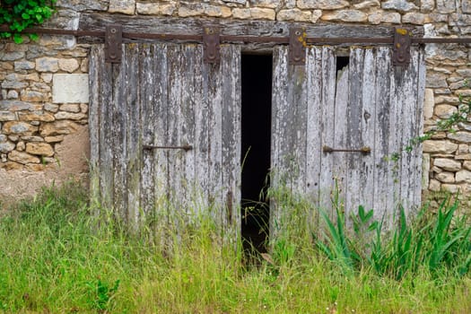 The old wooden door is open and the grass is growing around it. The door is old and has a rustic look to it