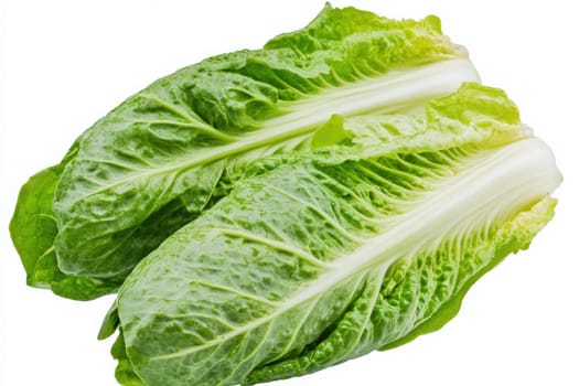 Two crisp romaine lettuce leaves are centered on a clean white background. Ideal for salads and healthy meals, this fresh produce showcases vibrant green color and crisp texture.