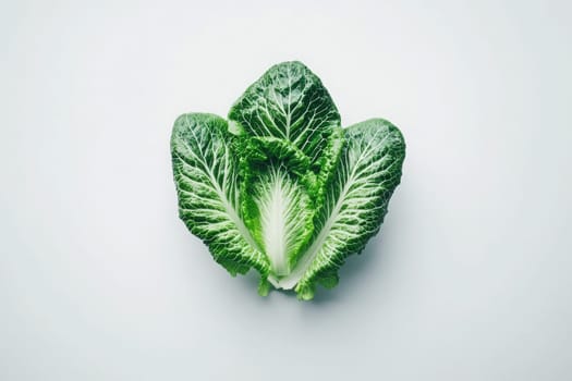 A single head of romaine lettuce sits centered on a light surface, displaying its fresh, green leaves. The lettuce appears crisp and ready for use in salads or healthy dishes.