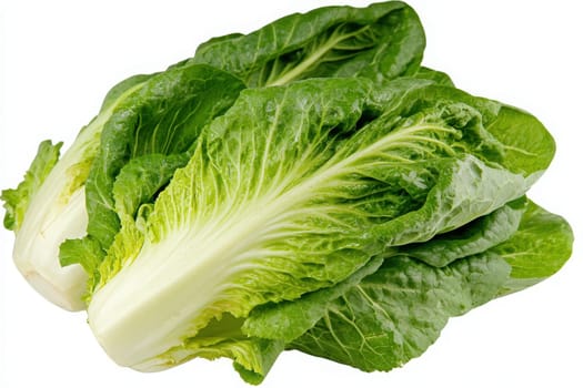 A vibrant bunch of romaine lettuce is displayed, featuring crisp, fresh green leaves. This healthy vegetable is commonly used in salads and various dishes for its crunchy texture.