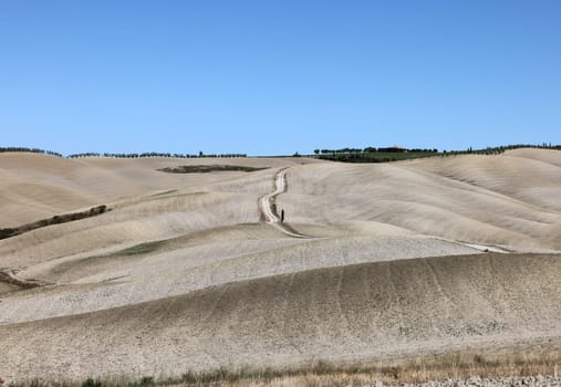 The rural landscape near San Quirico in Tuscany. Italy