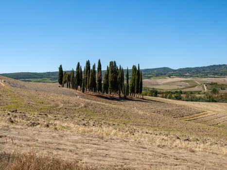 The rural landscape near San Quirico in Tuscany. Italy