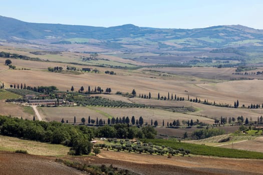 The rural landscape near Pienza in Tuscany. Italy