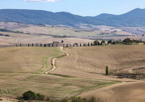 The rural landscape near Pienza in Tuscany. Italy