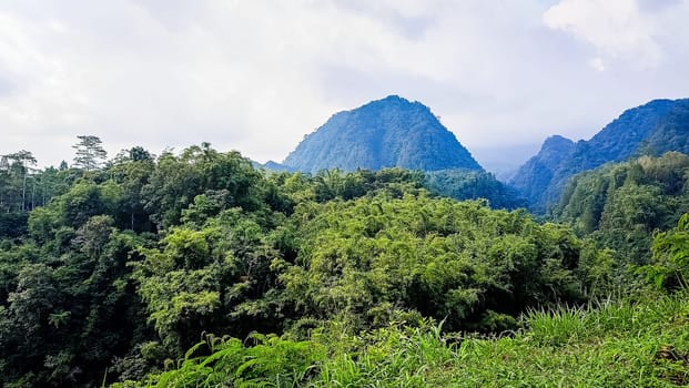 Forest and hill in Kaliurang, Sleman, Special Region of Yogyakarta, Indonesia. It shows the forest next to a hill filled with trees. This scene takes place near Merapi Volcano Mountain.