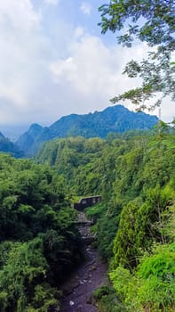 Forest and canyon in Kaliurang, Sleman, Special Region of Yogyakarta, Indonesia. It shows the forest next to a canyon. This scene takes place near Merapi Volcano Mountain.