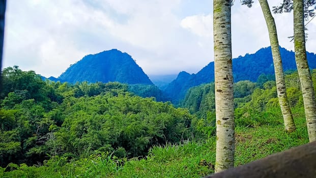Forest and hill in Kaliurang, Sleman, Special Region of Yogyakarta, Indonesia. It shows the forest next to a hill filled with trees. This scene takes place near Merapi Volcano Mountain.