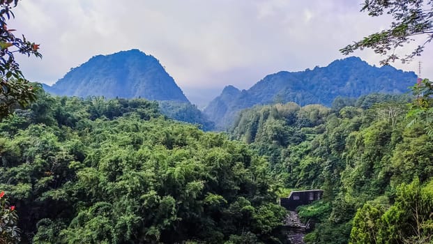 Forest, canyon and hill in Kaliurang, Sleman, Special Region of Yogyakarta, Indonesia. It shows the forest next to a canyon and a hill filled with trees. This scene takes place near Merapi Volcano Mountain.