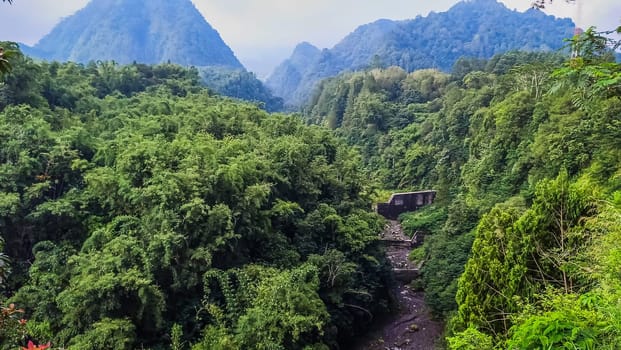 Forest, canyon and hill in Kaliurang, Sleman, Special Region of Yogyakarta, Indonesia. It shows the forest next to a canyon and a hill filled with trees. This scene takes place near Merapi Volcano Mountain.