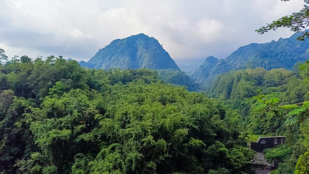 Forest and hill in Kaliurang, Sleman, Special Region of Yogyakarta, Indonesia. It shows the forest next to a hill filled with trees. This scene takes place near Merapi Volcano Mountain.