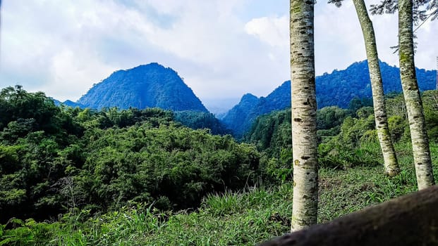 Forest and hill in Kaliurang, Sleman, Special Region of Yogyakarta, Indonesia. It shows the forest next to a hill filled with trees. This scene takes place near Merapi Volcano Mountain.