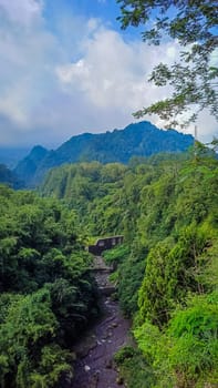Forest and canyon in Kaliurang, Sleman, Special Region of Yogyakarta, Indonesia. It shows the forest next to a canyon. This scene takes place near Merapi Volcano Mountain.