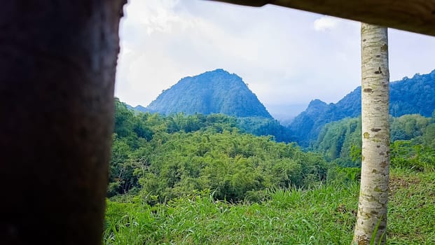 Forest and hill in Kaliurang, Sleman, Special Region of Yogyakarta, Indonesia. It shows the forest next to a hill filled with trees. This scene takes place near Merapi Volcano Mountain.