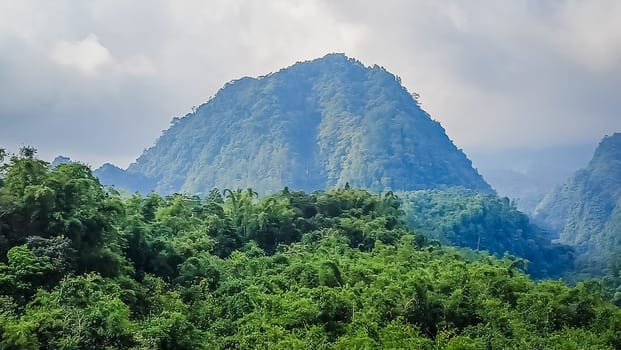Forest and hill in Kaliurang, Sleman, Special Region of Yogyakarta, Indonesia. It shows the forest next to a hill filled with trees. This scene takes place near Merapi Volcano Mountain.