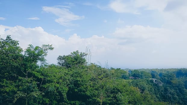 Forest and canyon in Kaliurang, Sleman, Special Region of Yogyakarta, Indonesia. It shows the forest next to a canyon. This scene takes place near Merapi Volcano Mountain.