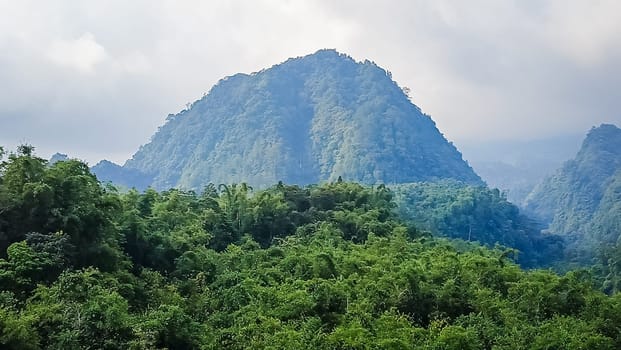 Forest and hill in Kaliurang, Sleman, Special Region of Yogyakarta, Indonesia. It shows the forest next to a hill filled with trees. This scene takes place near Merapi Volcano Mountain.