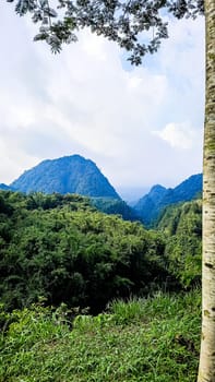Forest and hill in Kaliurang, Sleman, Special Region of Yogyakarta, Indonesia. It shows the forest next to a hill filled with trees. This scene takes place near Merapi Volcano Mountain.