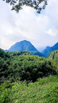 Forest and hill in Kaliurang, Sleman, Special Region of Yogyakarta, Indonesia. It shows the forest next to a hill filled with trees. This scene takes place near Merapi Volcano Mountain.