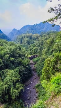 Forest and canyon in Kaliurang, Sleman, Special Region of Yogyakarta, Indonesia. It shows the forest next to a canyon. This scene takes place near Merapi Volcano Mountain.