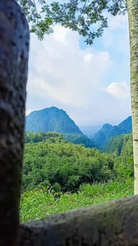 Forest and hill in Kaliurang, Sleman, Special Region of Yogyakarta, Indonesia. It shows the forest next to a hill filled with trees. This scene takes place near Merapi Volcano Mountain.