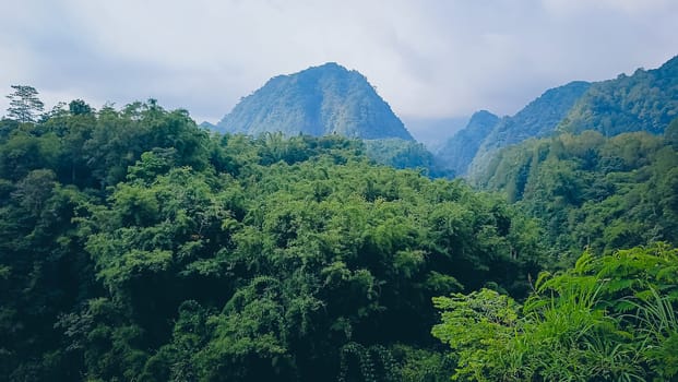 Forest and hill in Kaliurang, Sleman, Special Region of Yogyakarta, Indonesia. It shows the forest next to a hill filled with trees. This scene takes place near Merapi Volcano Mountain.