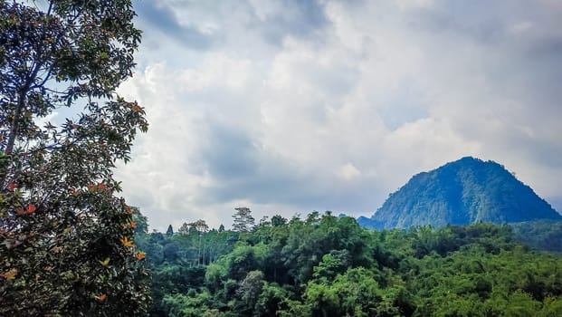 Forest and hill in Kaliurang, Sleman, Special Region of Yogyakarta, Indonesia. It shows the forest next to a hill filled with trees. This scene takes place near Merapi Volcano Mountain.