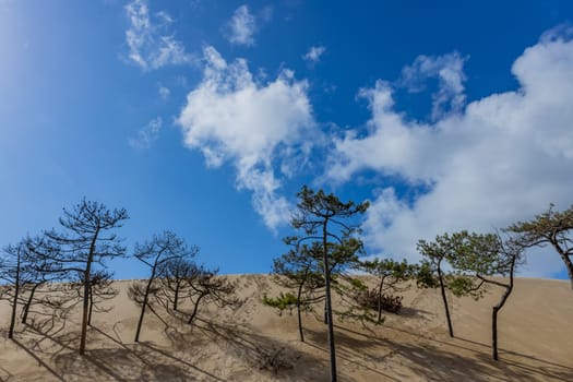 Dune of Pilat, the tallest sand dune in Europe. Arcachon Bay. Aquitaine, France